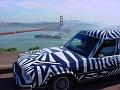 Dazzle Hearse at the Golden Gate, ship passes